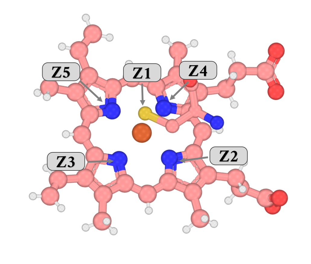 Render of the MetalAA1 site: the heme and cysteine stick model with pill labels and arrows marking the five donor atoms Z1 through Z5 around the iron sphere